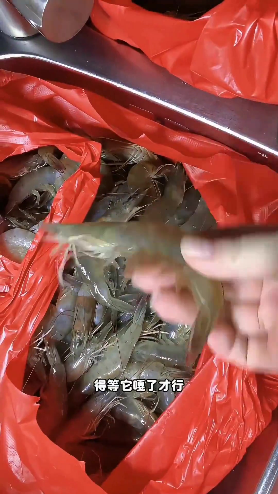 天津存虾季,分享长久储存虾新鲜的方法
