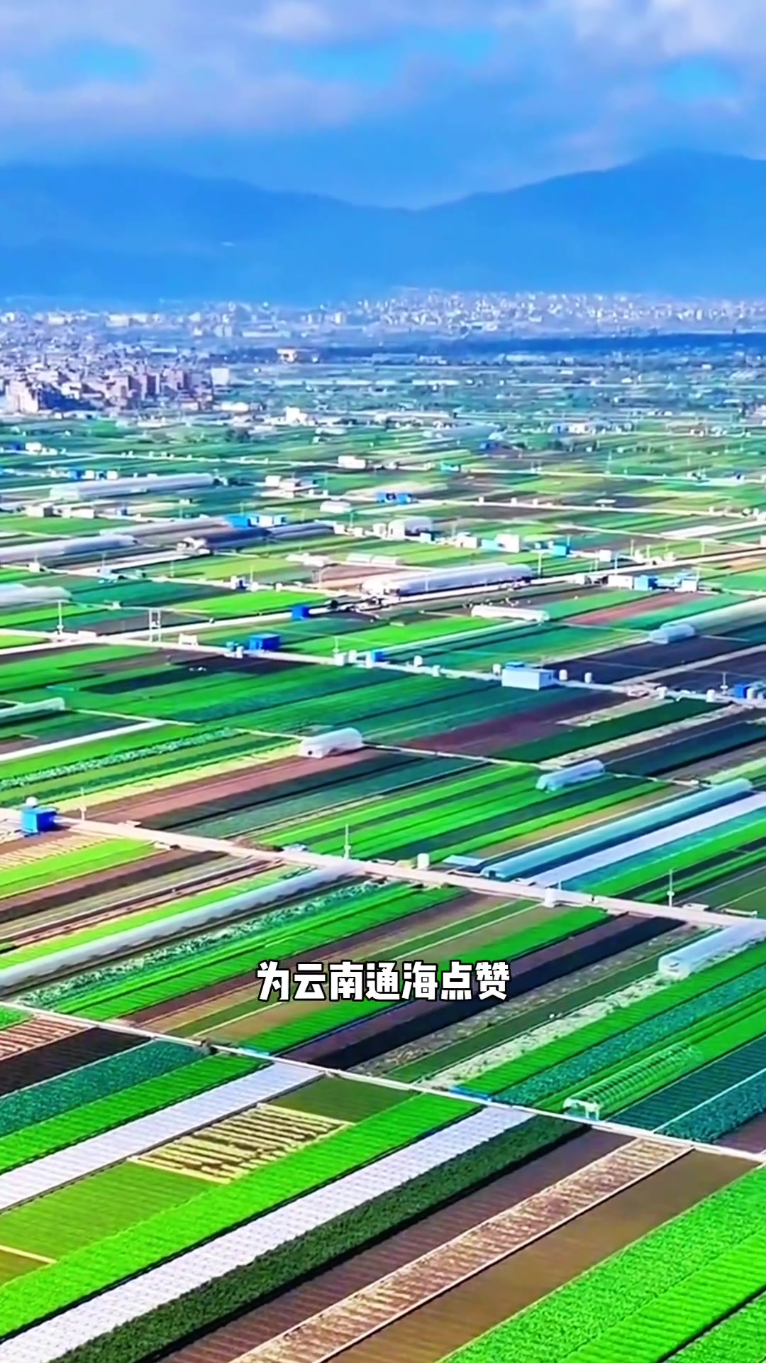云南通海,据说是中国最大的露天蔬菜基地