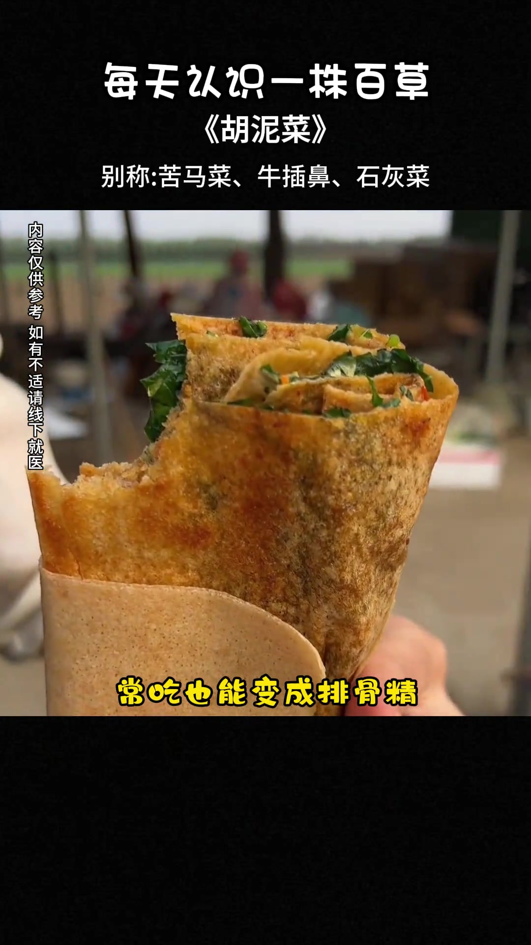 泥胡菜叶杆有白毛,曾是饥荒时充饥野菜,家乡叫啥?