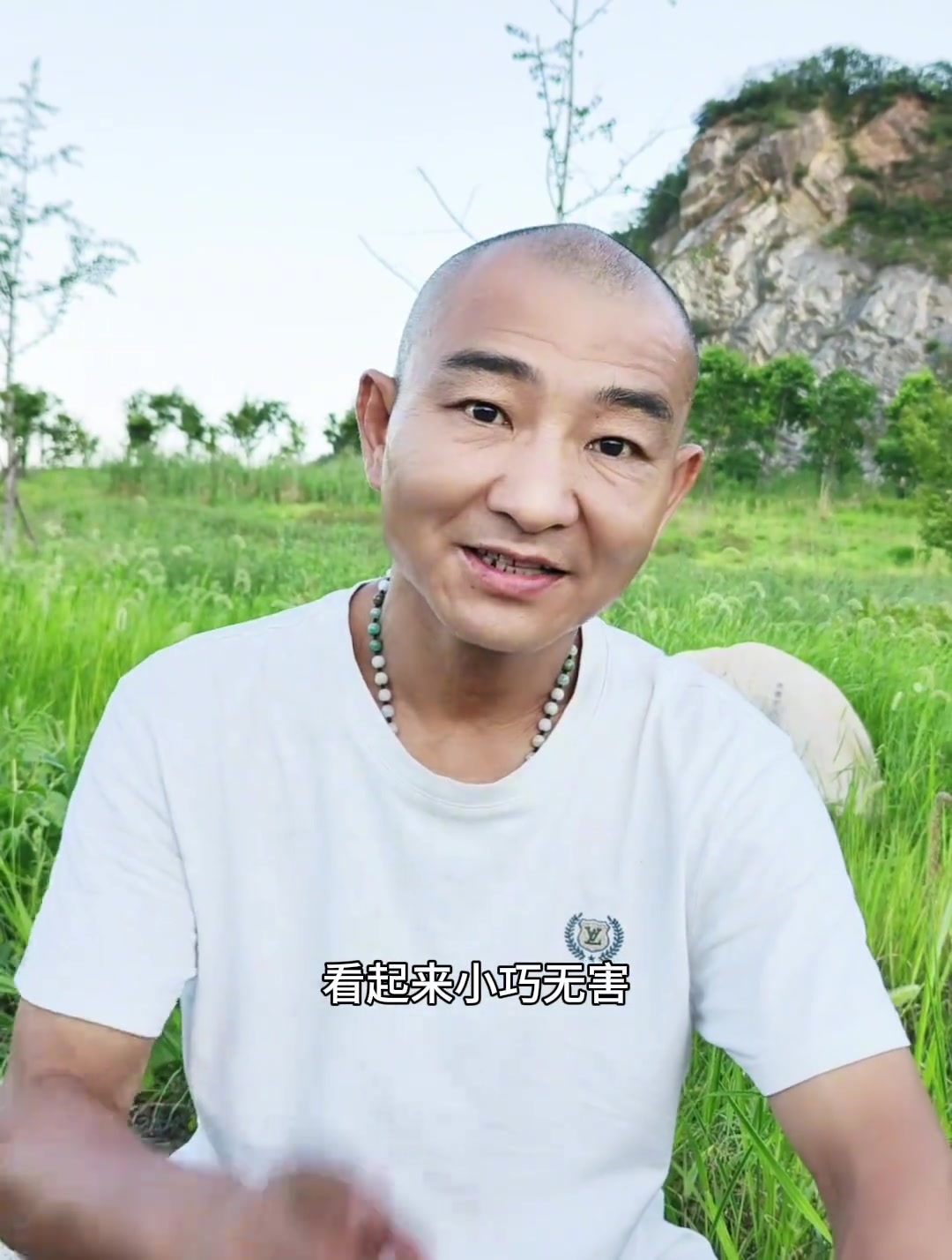 虎斑颈槽蛇俗称野鸡脖子,兄弟们,你们见过这种蛇吗?