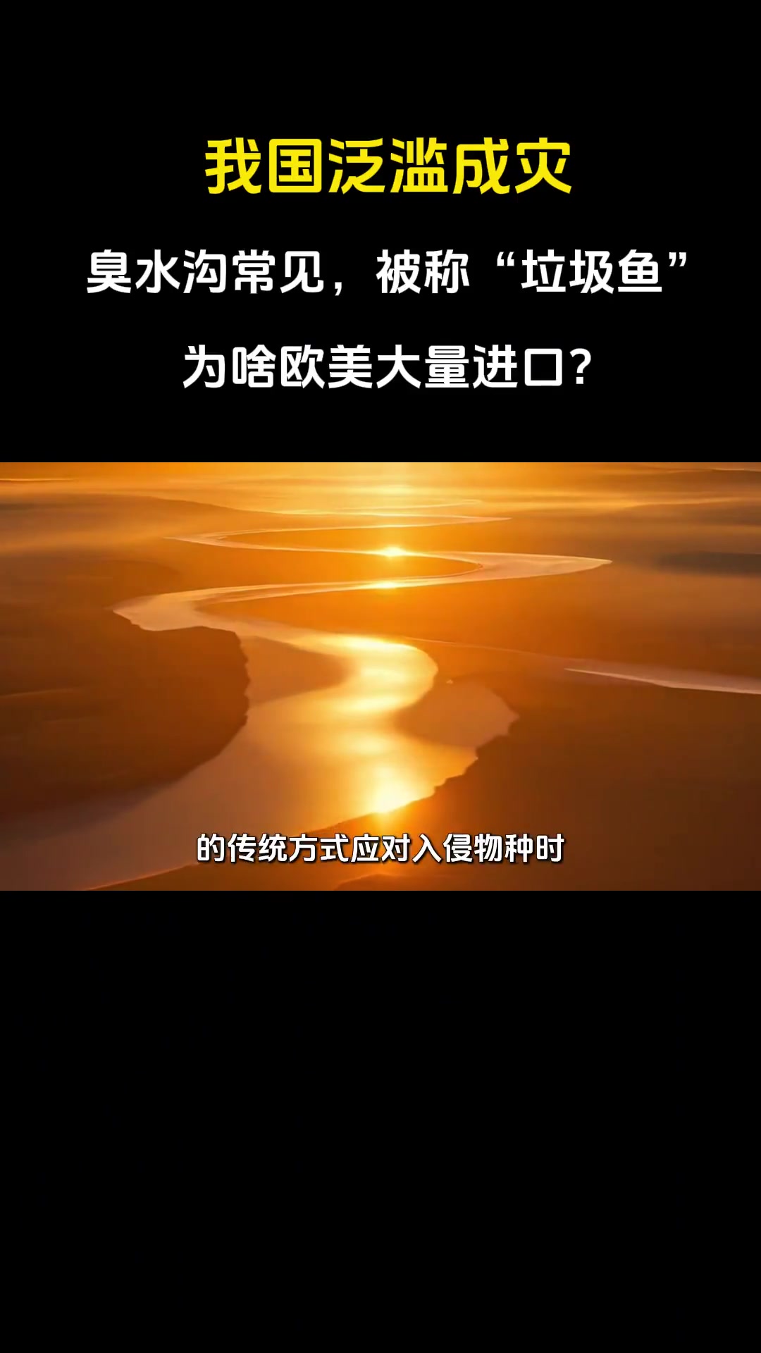 我国泛滥成灾,臭水沟常见,被称“垃圾鱼”,为啥欧美大量进口?