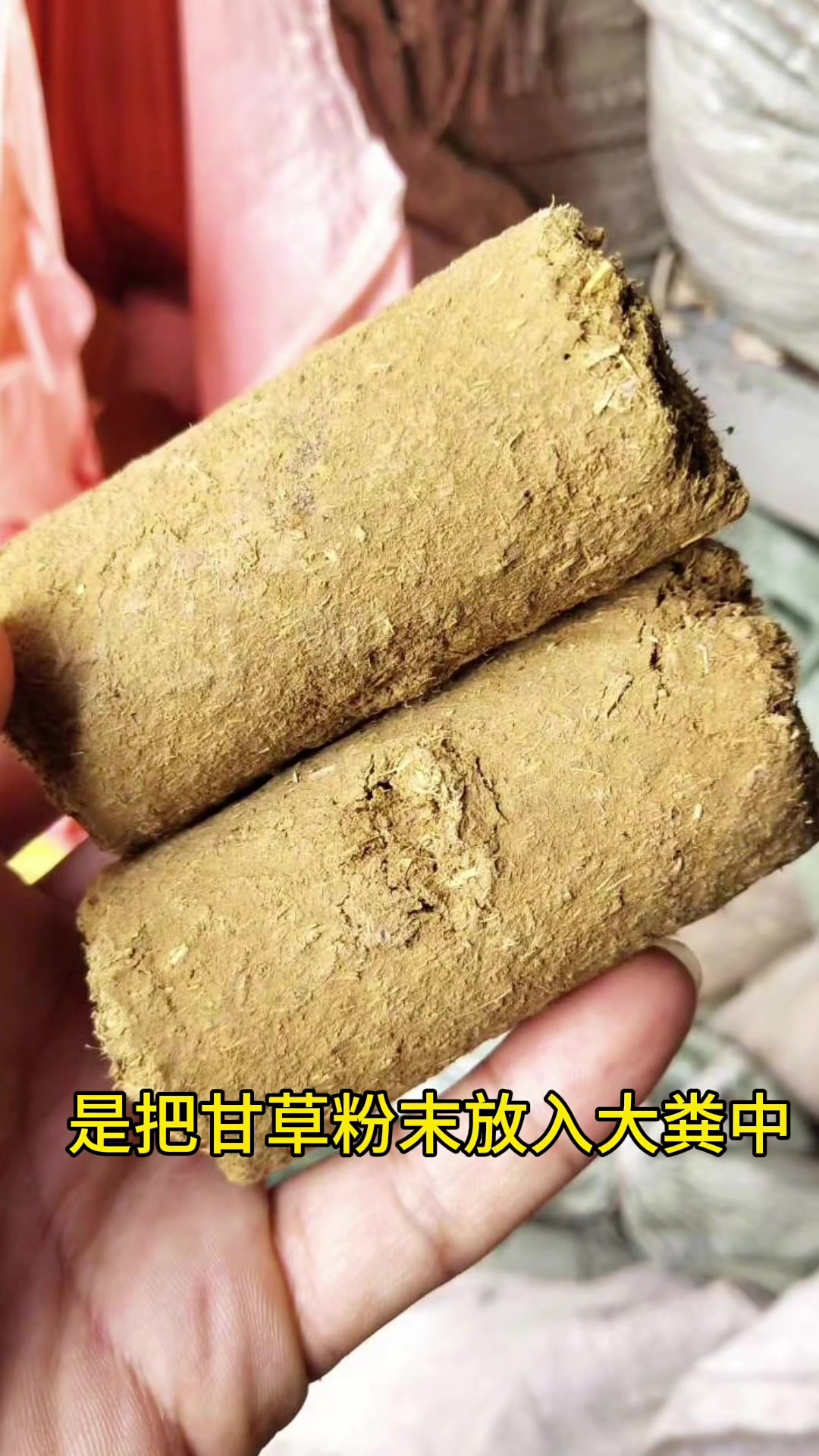 惊!这些奇葩中药材你绝对想不到是什么