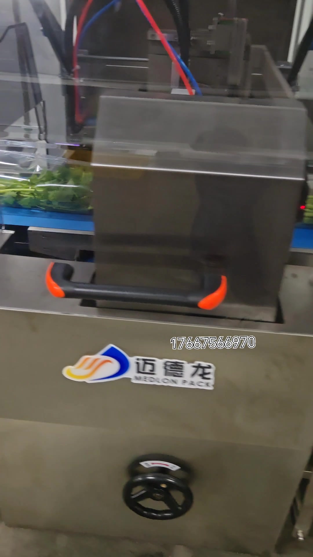 蔬菜包装机商超精品叶菜自动包装称重贴标机