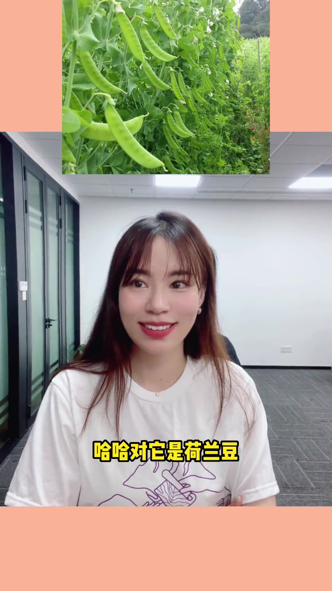 超全！看图猜蔬菜，你认识几种？快来挑战！