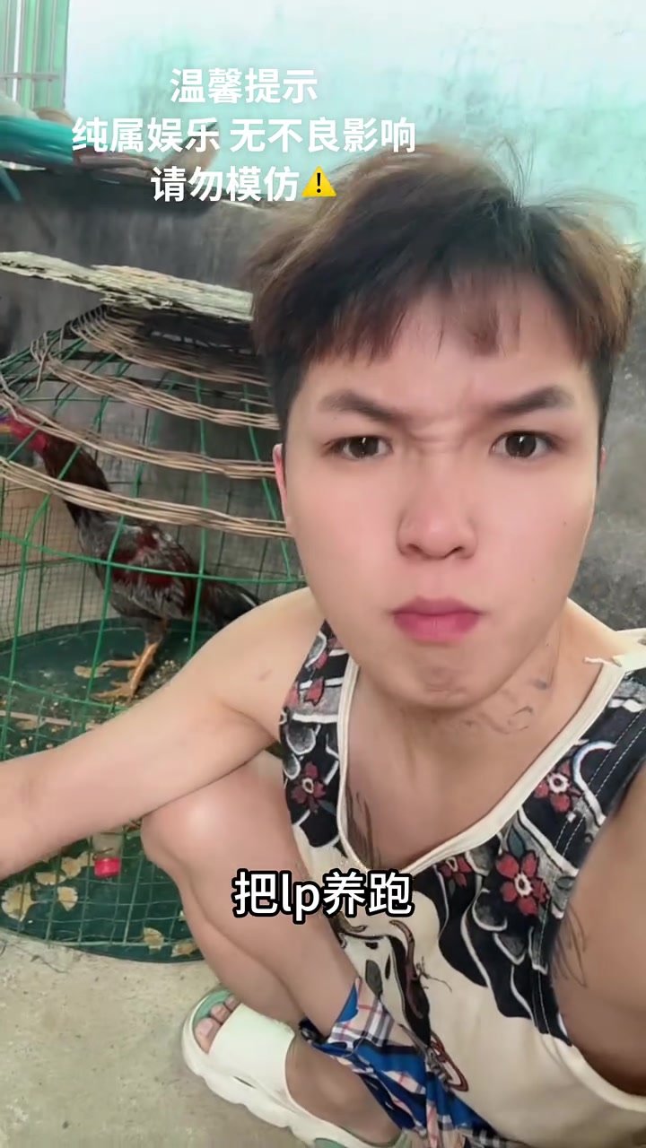斗鸡狗别养,养了老婆跑女友丢,恶性通杀