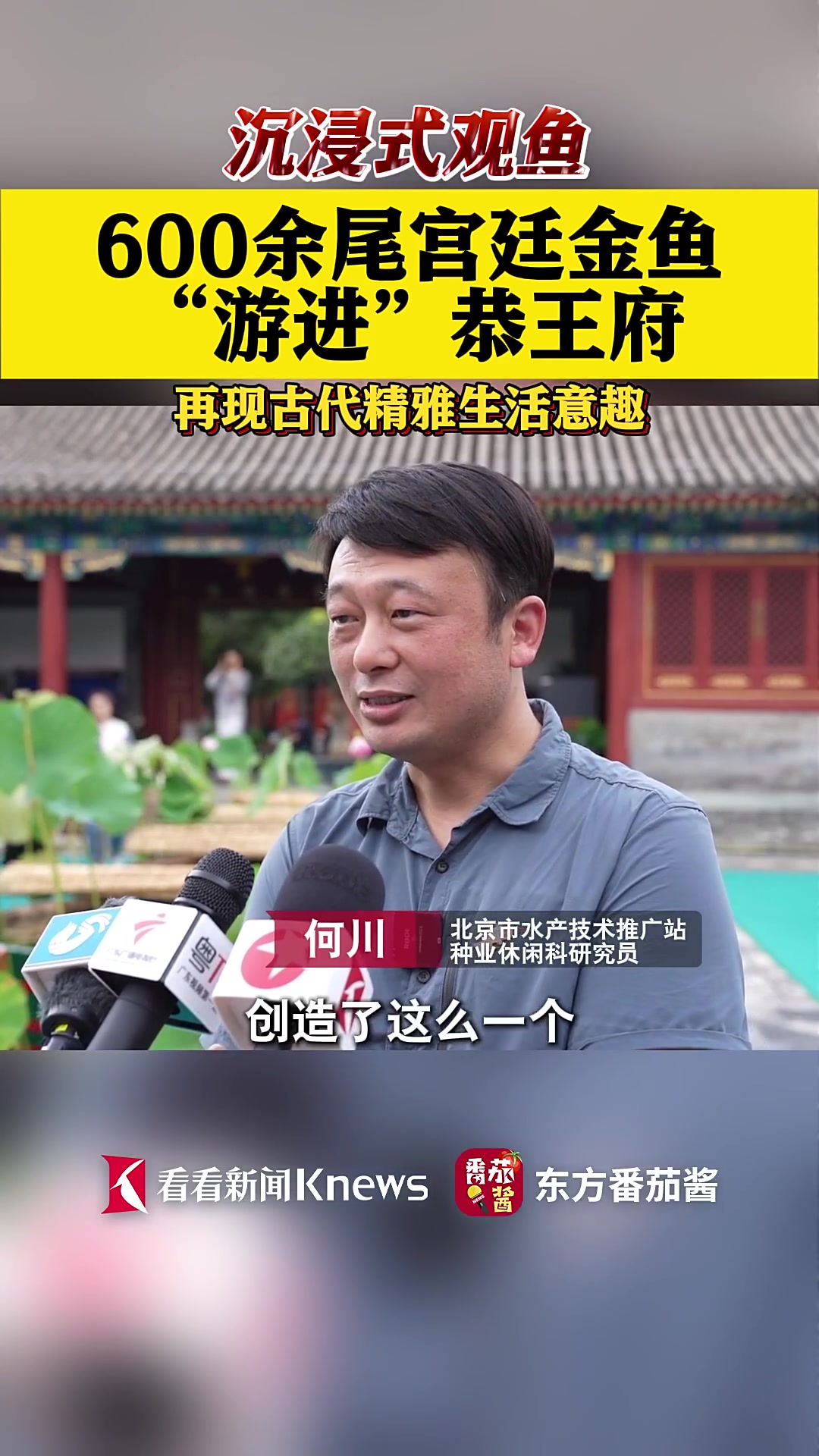 600余尾宫廷金鱼“游进”恭王府