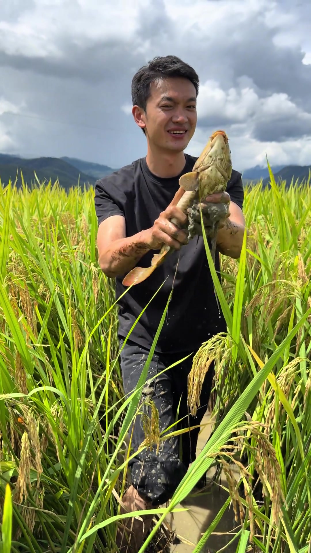 乡村振兴,好物出村,生态稻花鱼来啦