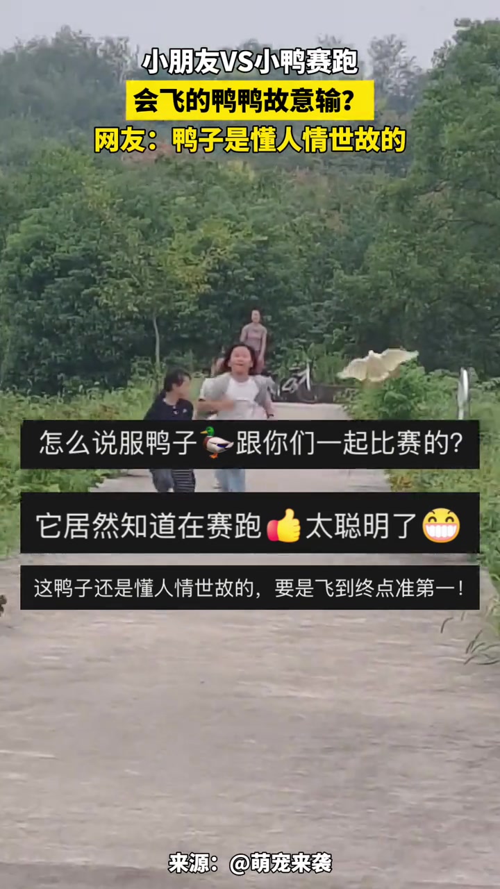 小朋友VS小鸭赛跑会飞的鸭鸭故意输?网友:鸭子是懂人情世故的