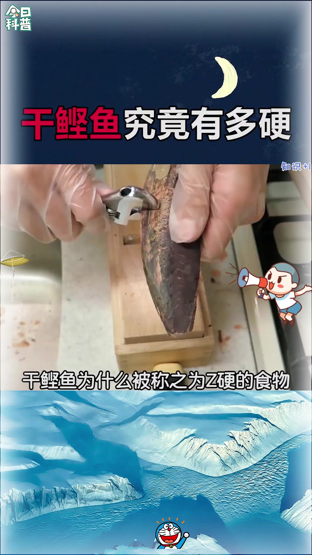 干鲣鱼为什么被称之为最硬的食物?