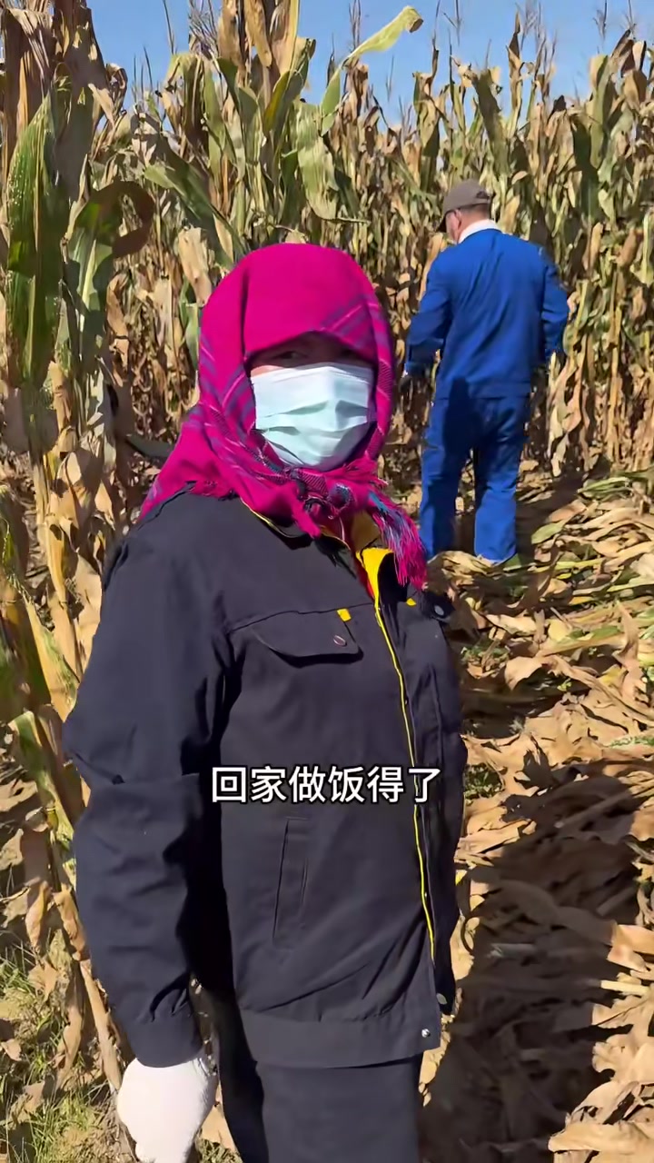 东北名菜东北大丰收，嘎嘎下饭！