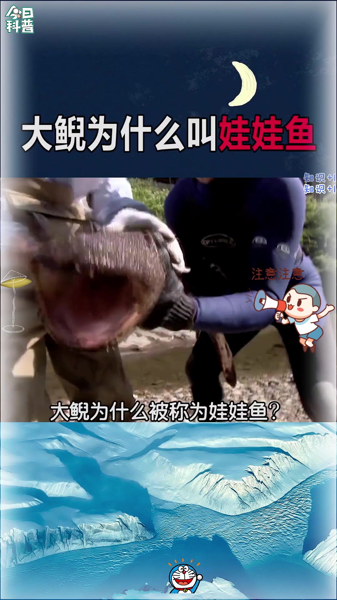 大鲵为什么被称为娃娃鱼?