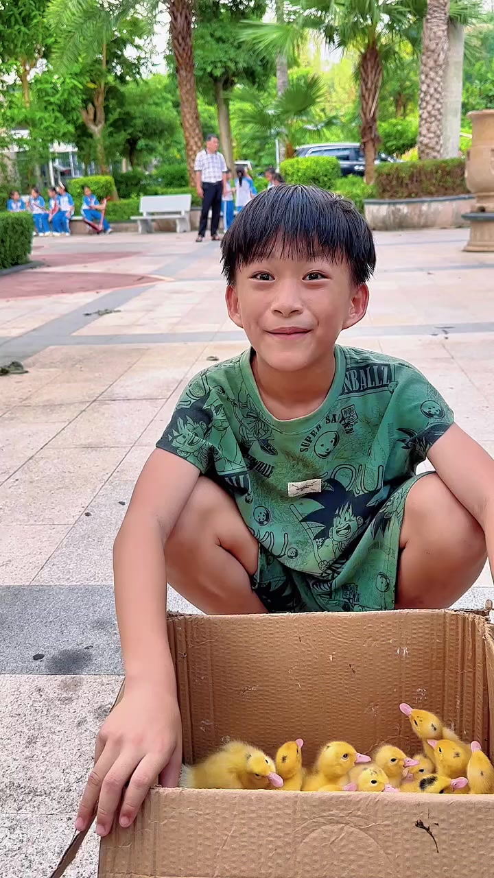 当一群小朋友看到小鸭子排队跟着走是什么反应