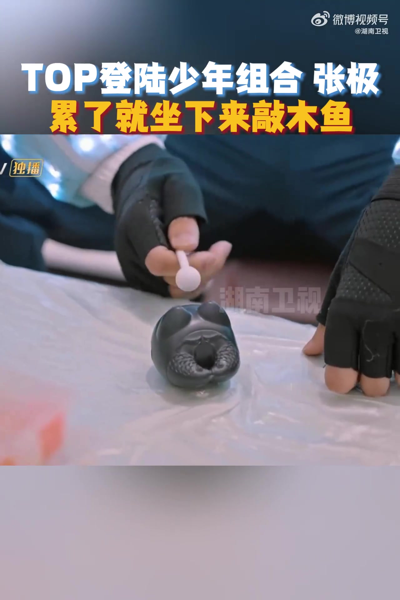 当别人都在和猎人赛跑而 正在敲木鱼,松弛感满满