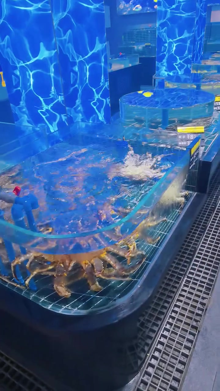 生鲜外衣海鲜充氧机