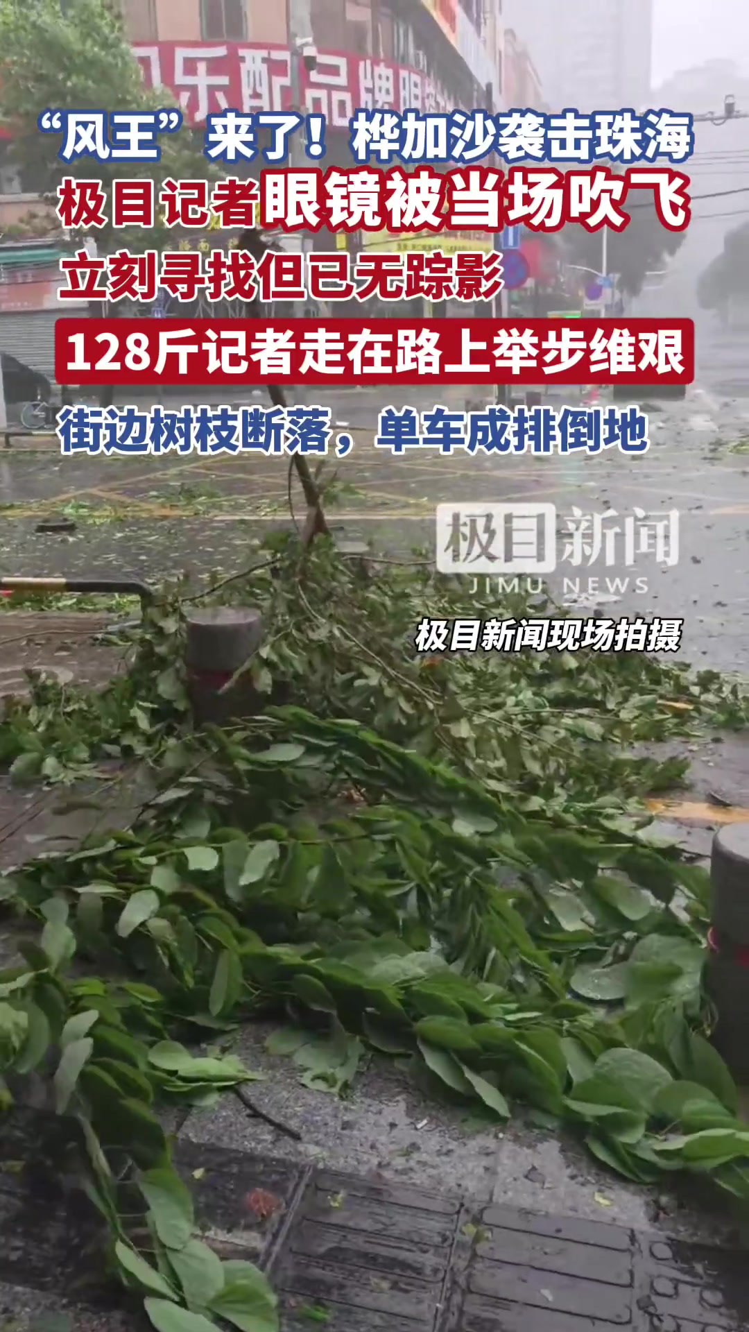 「台风桦加沙袭击珠海:记者眼镜被大风吹跑,街边树枝断落,单车成排倒地」体重128斤记者抓路