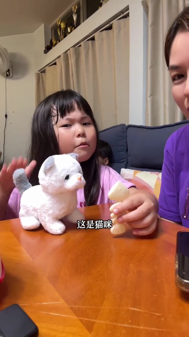 在家煲海参汤