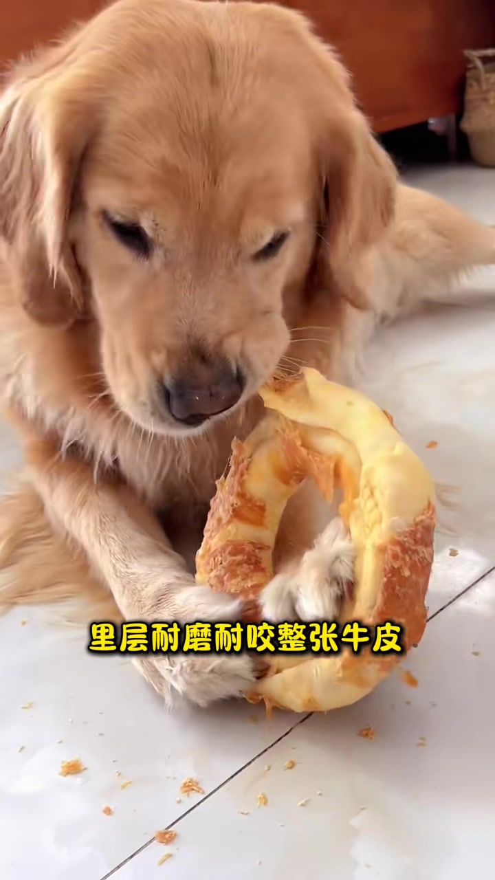 太好玩了，把狗子表情包都啃出来了