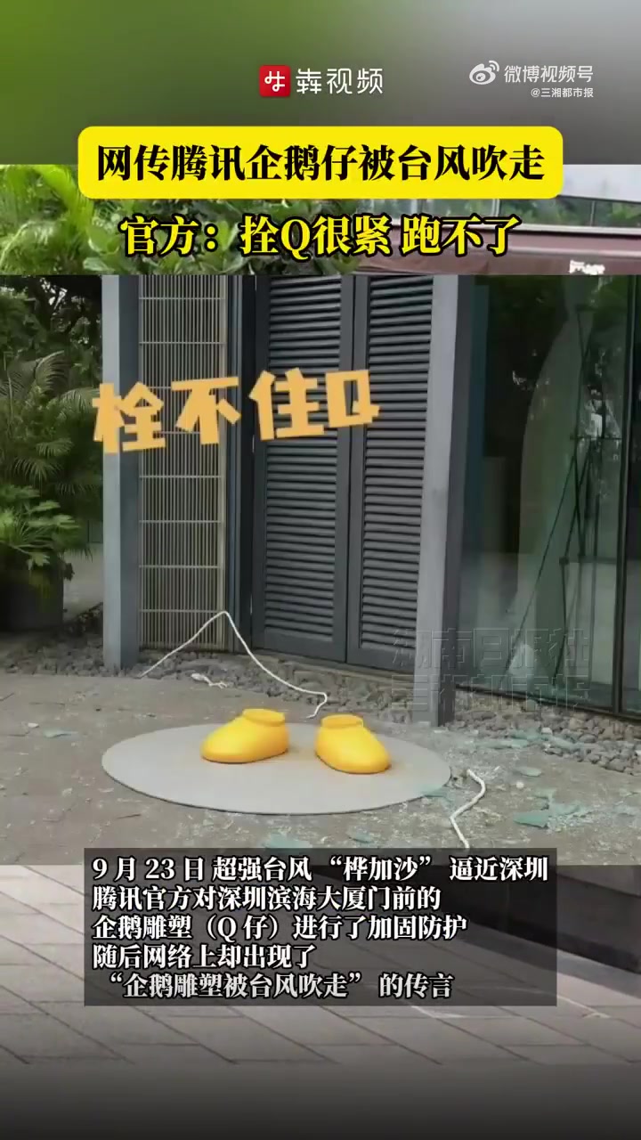9月23日,超强台风 “桦加沙” 逼近深圳,腾讯官方对深圳滨海大厦门前的企鹅雕塑(Q 仔)