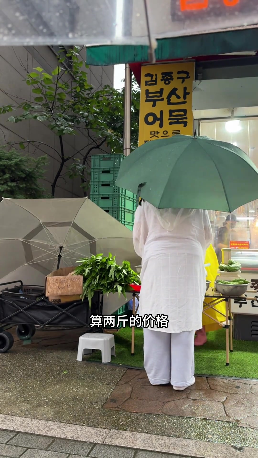 摆摊卖菜遇骤雨,来了一位泰国小姐姐承包了大半个摊位蔬菜