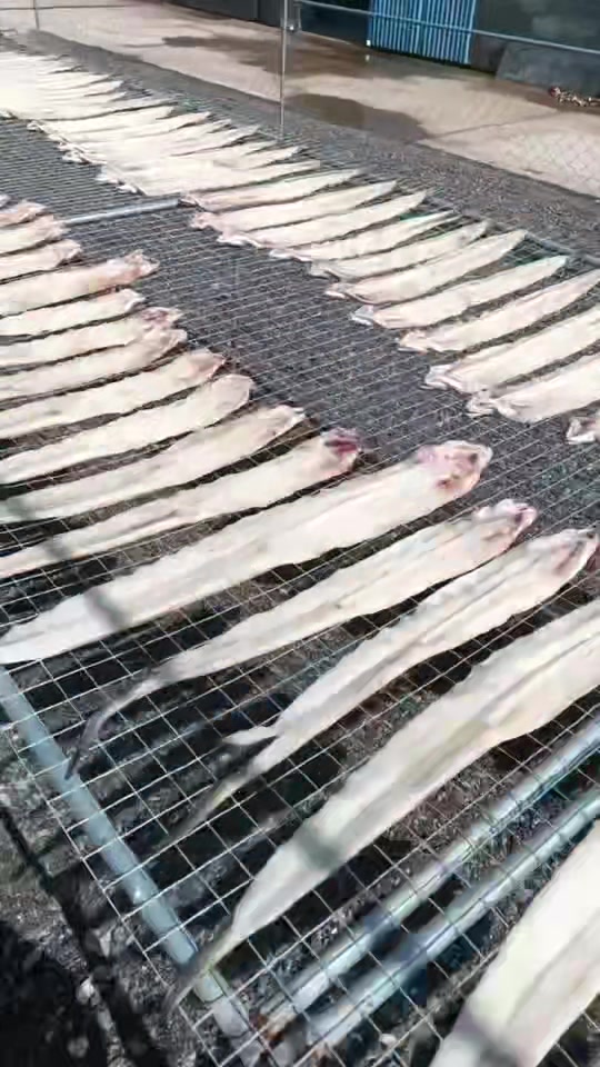 本地一卤鲜鲅鱼干和油鳗鱼干,滋啦滋啦的香