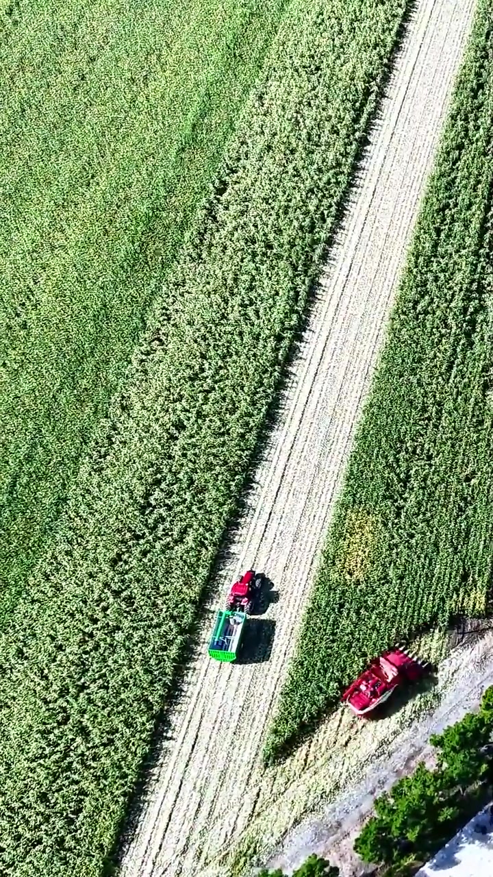 「龙江县融」黑龙江汤原:用延时摄影的视角看秋收