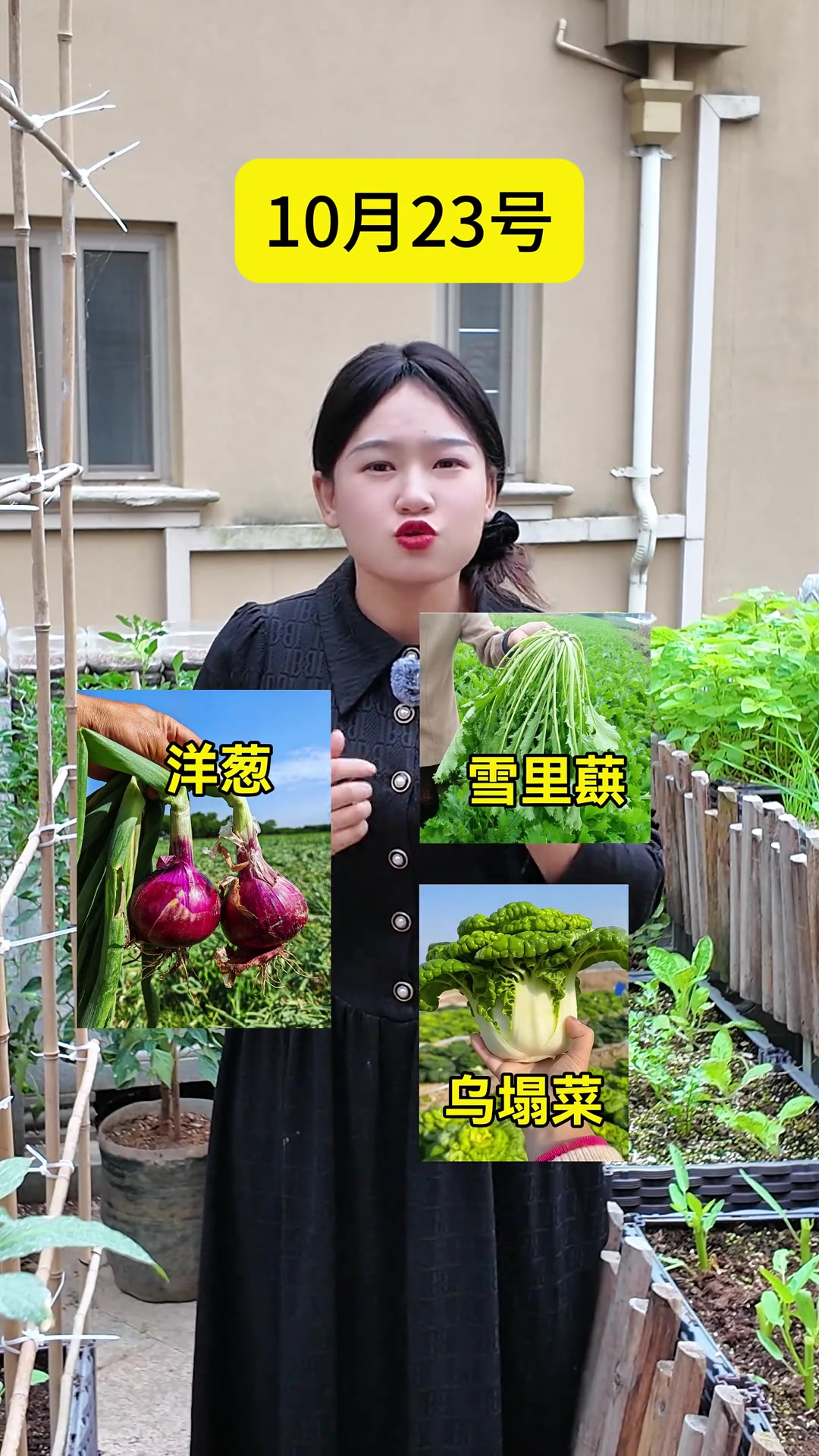 一年四季如何选择种植蔬菜的时间点