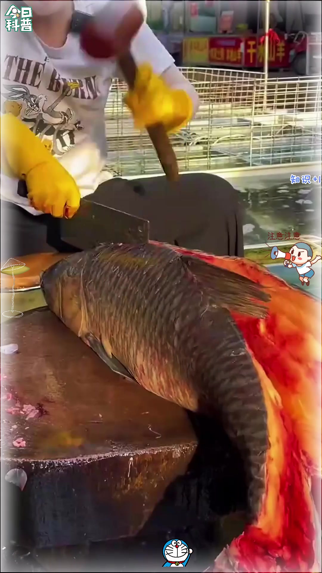 利用鱼骨制作的工艺品