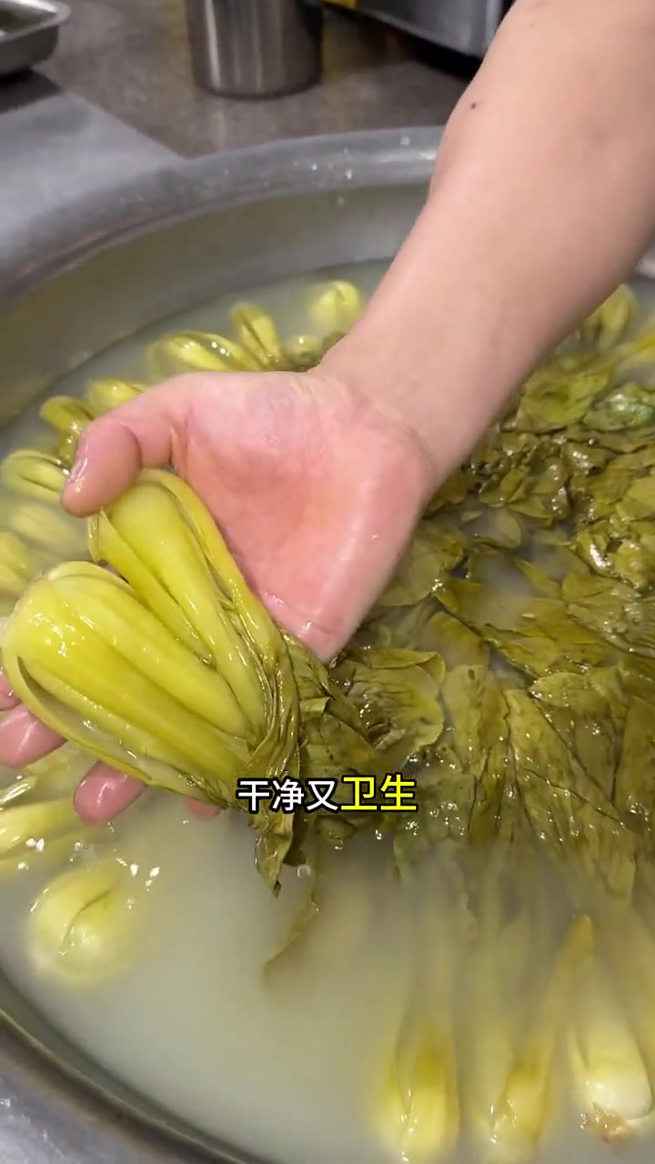 昨天用淘米水做的酸菜,用来炒鸡蛋嘎嘎好吃太下饭了,你也试试吧