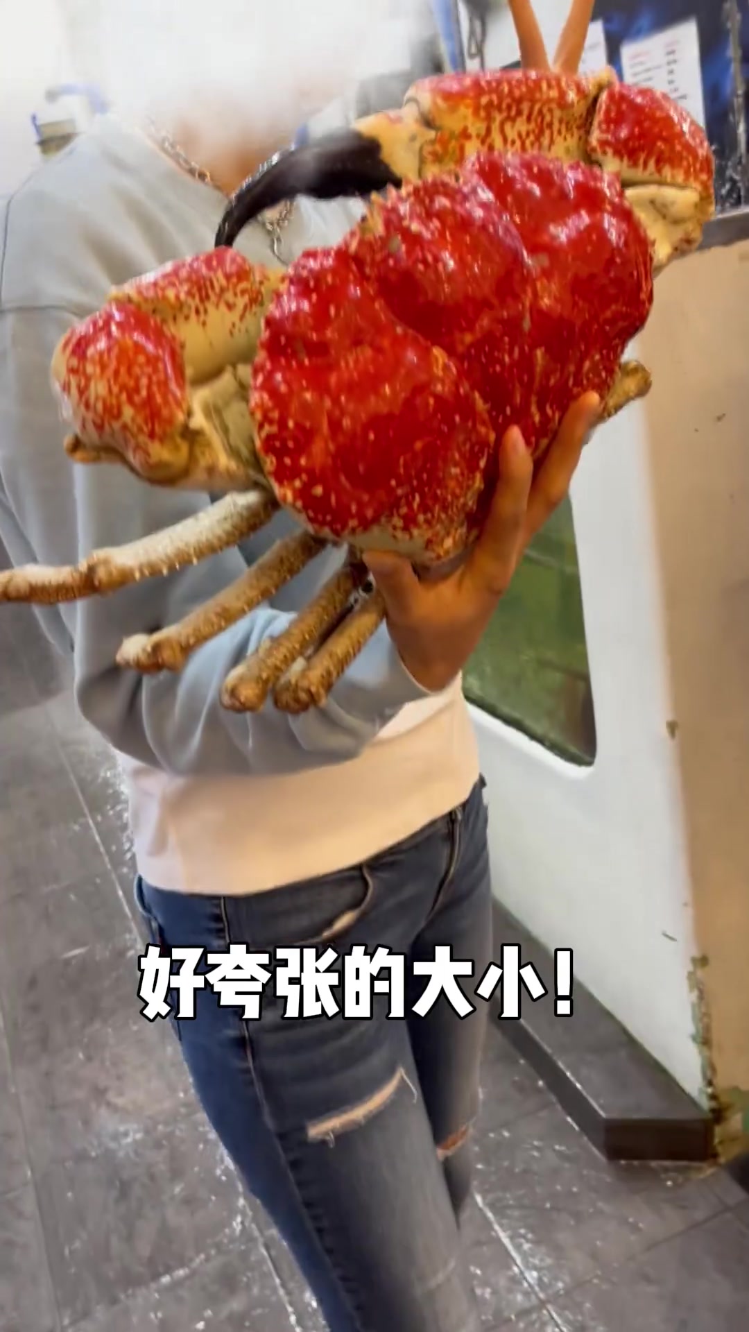 悉尼鱼市场吃海鲜竟遇吓人之事!