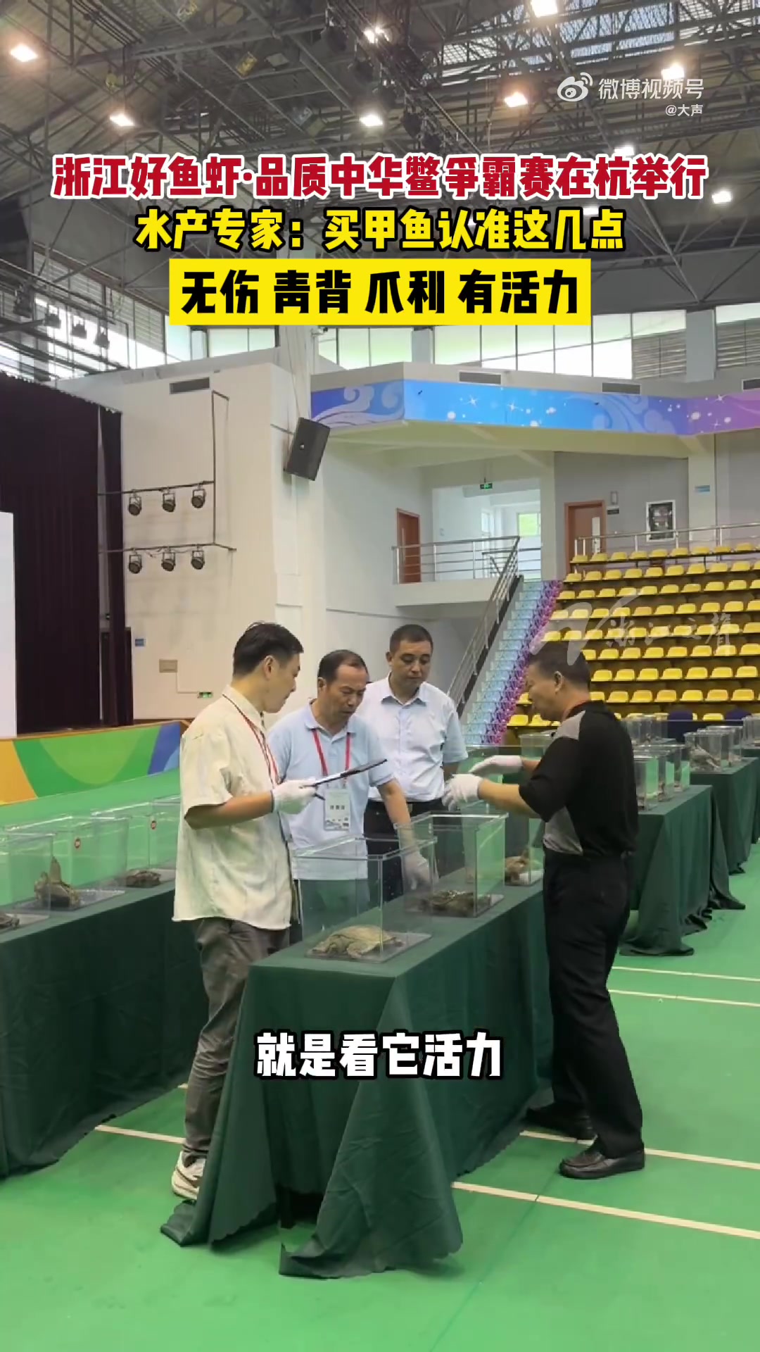 「无伤、青背、爪利、有活力 这份甲鱼挑选攻略请收好!」浙江中华鳖养殖产量全国第2浙江好鱼虾