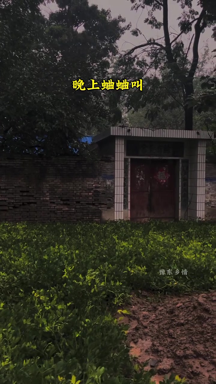 熟悉的声音又在耳边响起,尘封的记忆如潮水般涌来,小时候我们经常听到的声音,为什么现在很少听