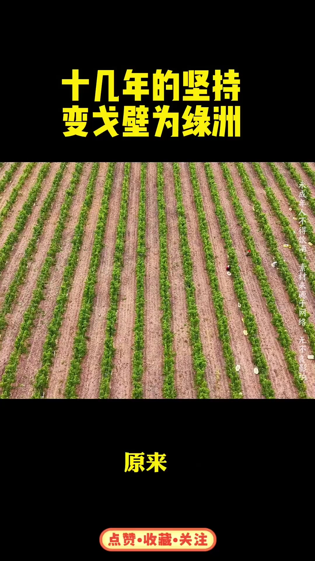 精选宁夏贺兰山东麓葡萄酒