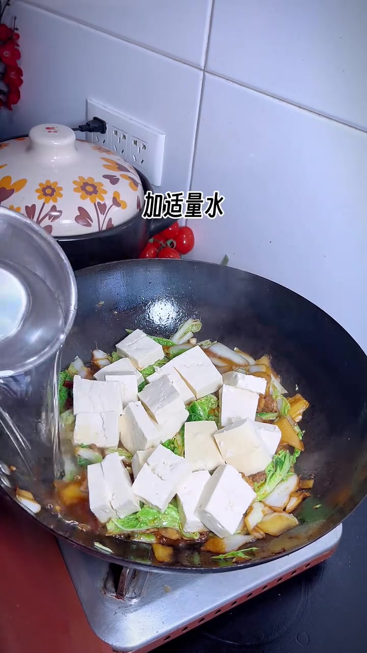 一周吃七次都不觉得腻的家常菜 白菜豆腐炖粉条 嘎嘎好吃 嘎嘎下饭