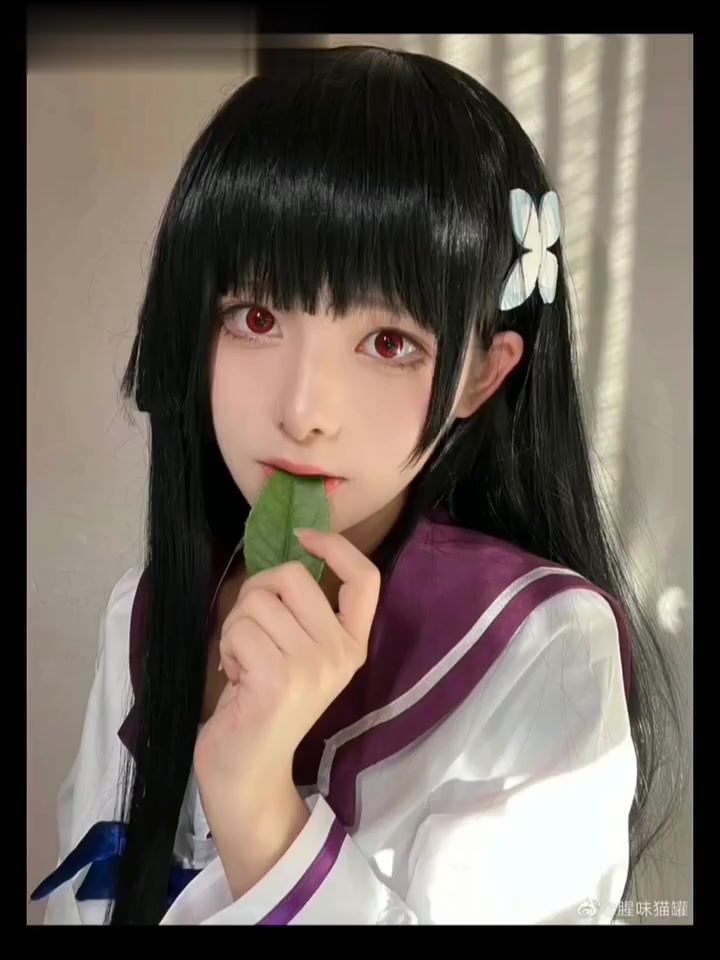 「腥味猫罐」猫罐罐！