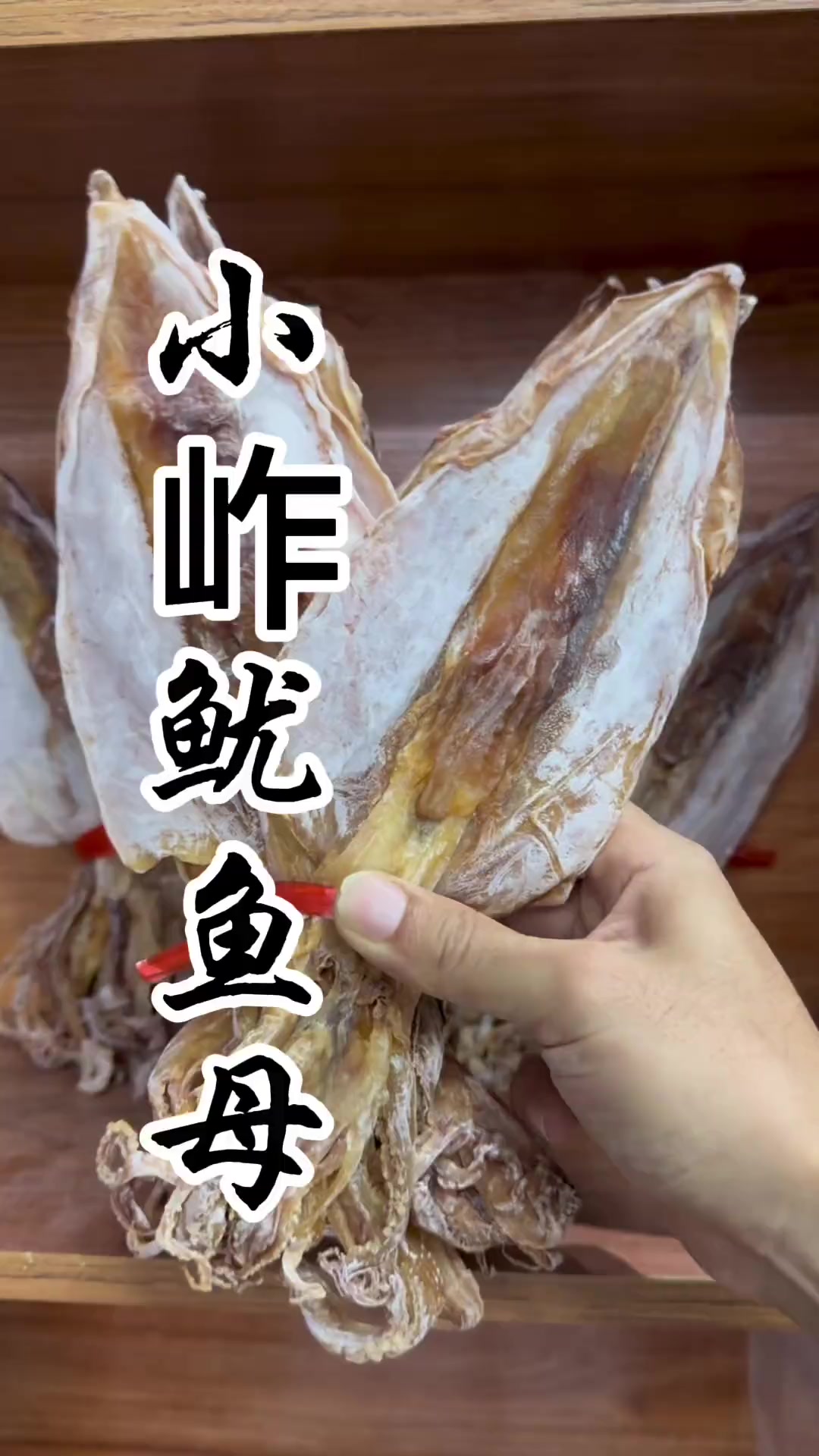 小岞纯手钓新鲜鱿鱼母,炖肉超棒