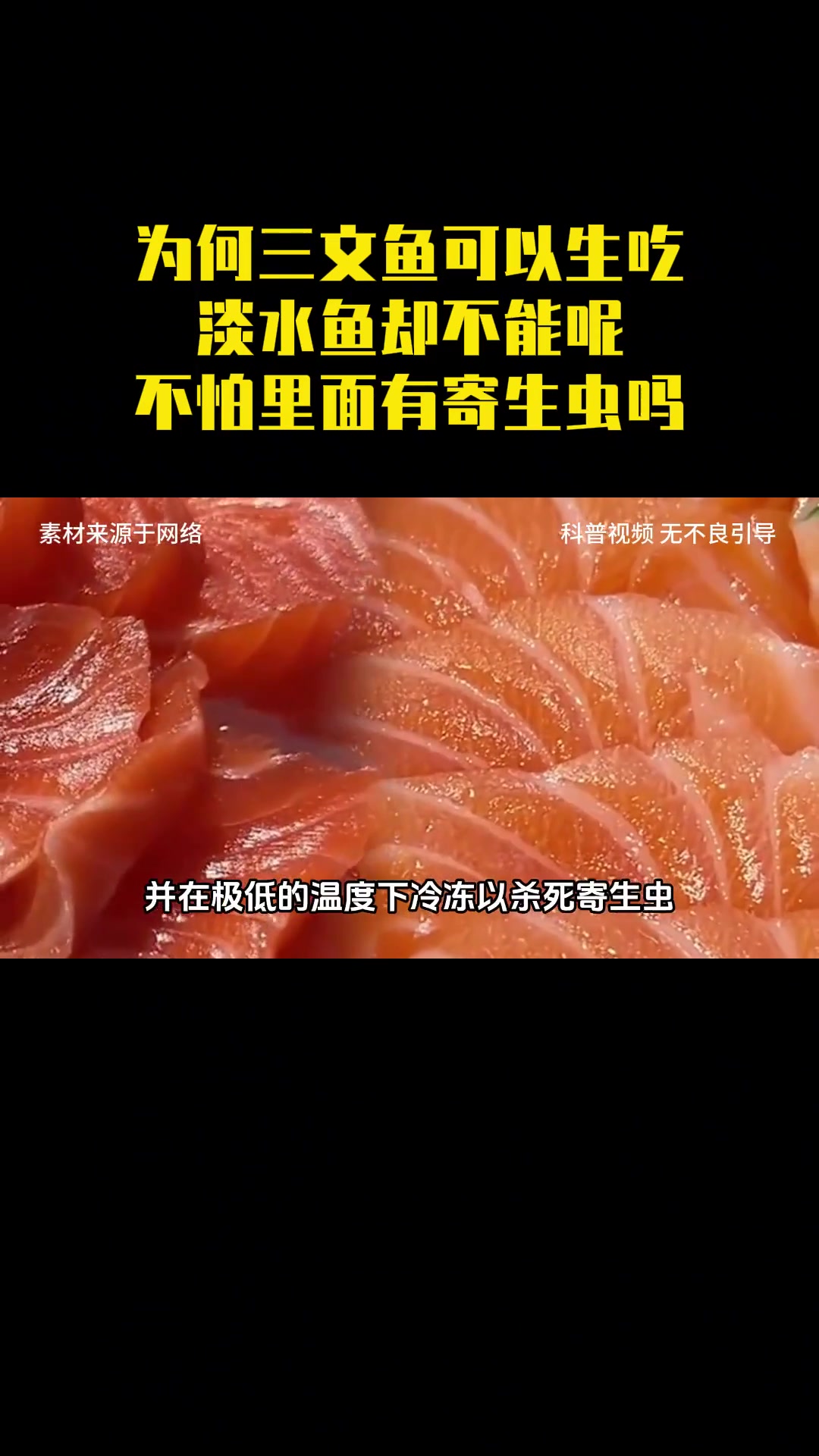 同样是鱼,为何三文鱼可以生吃淡水鱼却不能?不怕里面有寄生虫吗
