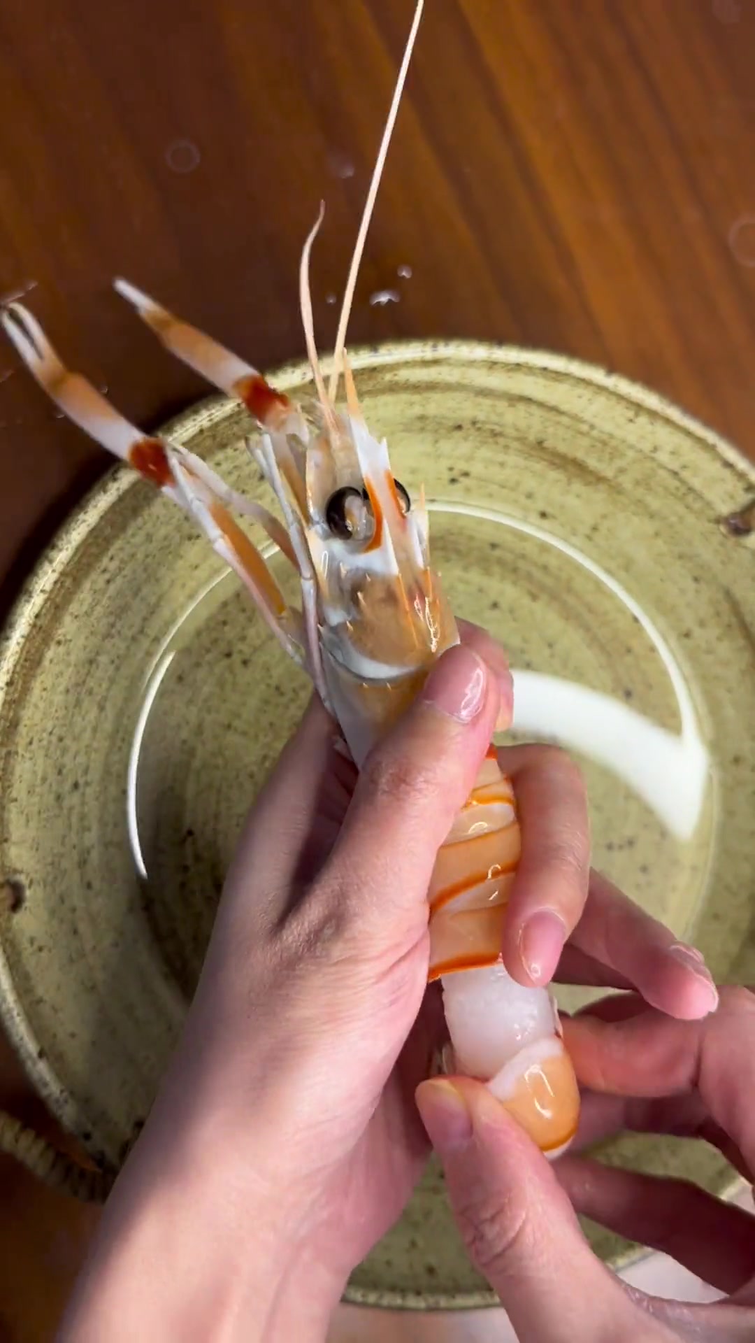 盛宴刺身美食新西兰大鳌虾刺身