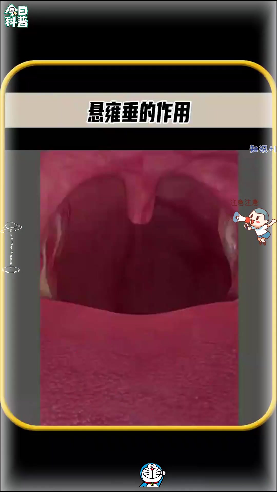 你知道你的口腔后面的肉球有什么作用吗，值得一看