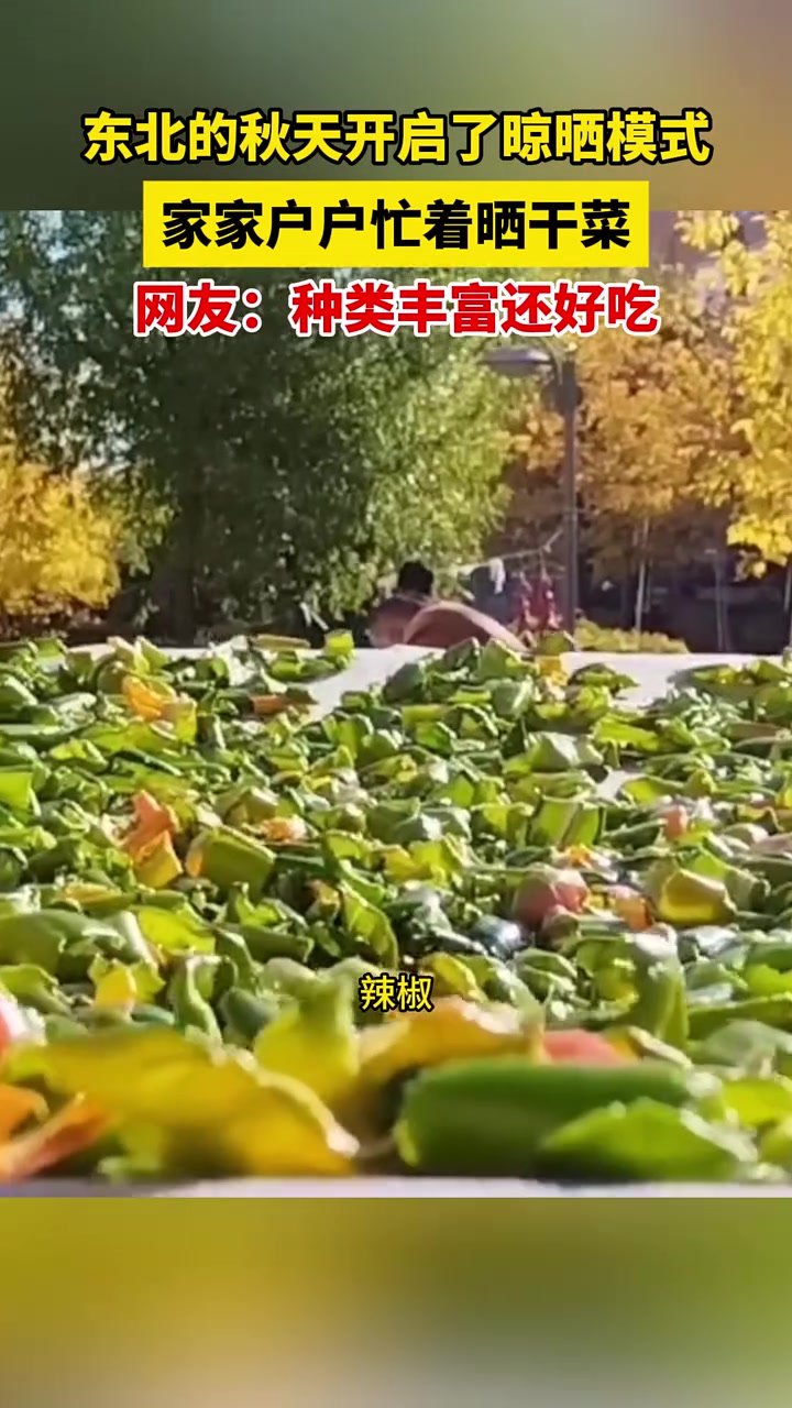 9月27日黑龙江塔河,东北的秋天开启了晾晒模式,家家户户忙着晒干菜,网友:种类丰富还好吃