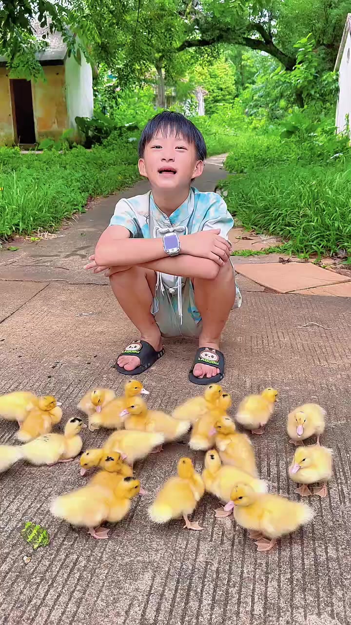 这种半番鸭很多地方的集市都有卖,选这种鸭子比较会跟人!