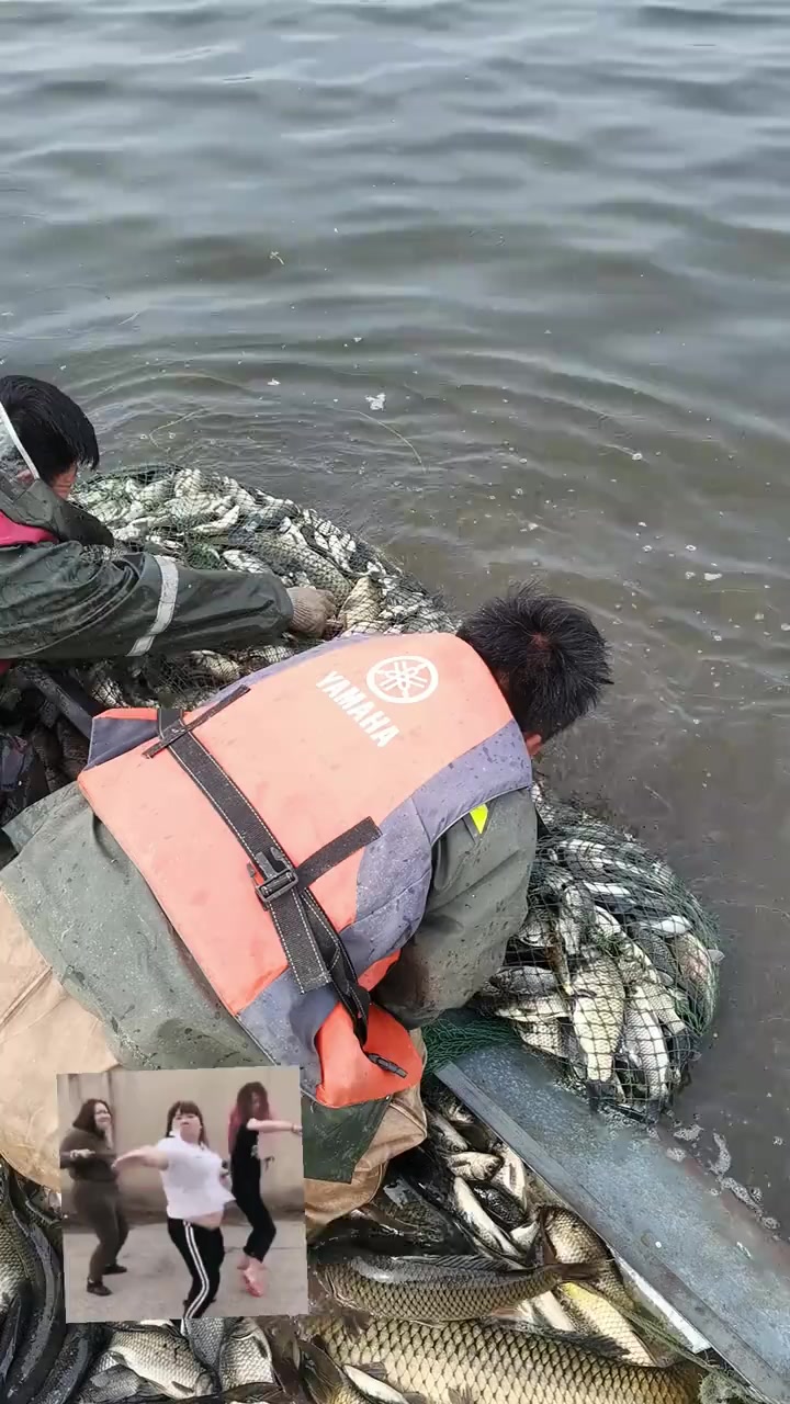 大型迷魂阵捕鱼就是强