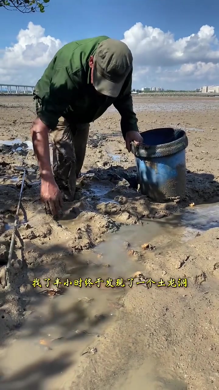 赶海收获几斤土龙,鲜掉眉毛的土龙汤安排上 赶海 土龙汤