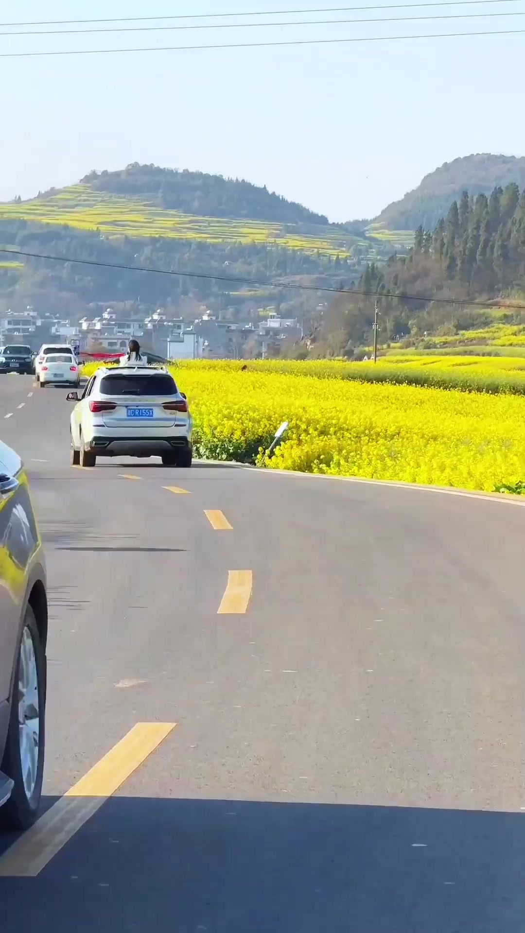 秋季出游,这个春天总要来一次罗平吧,2025年罗平油菜花即将