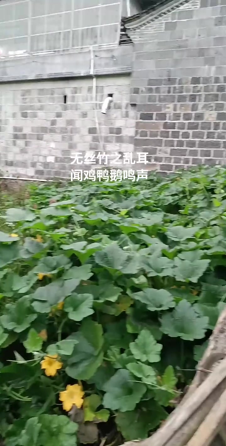 静静的时光