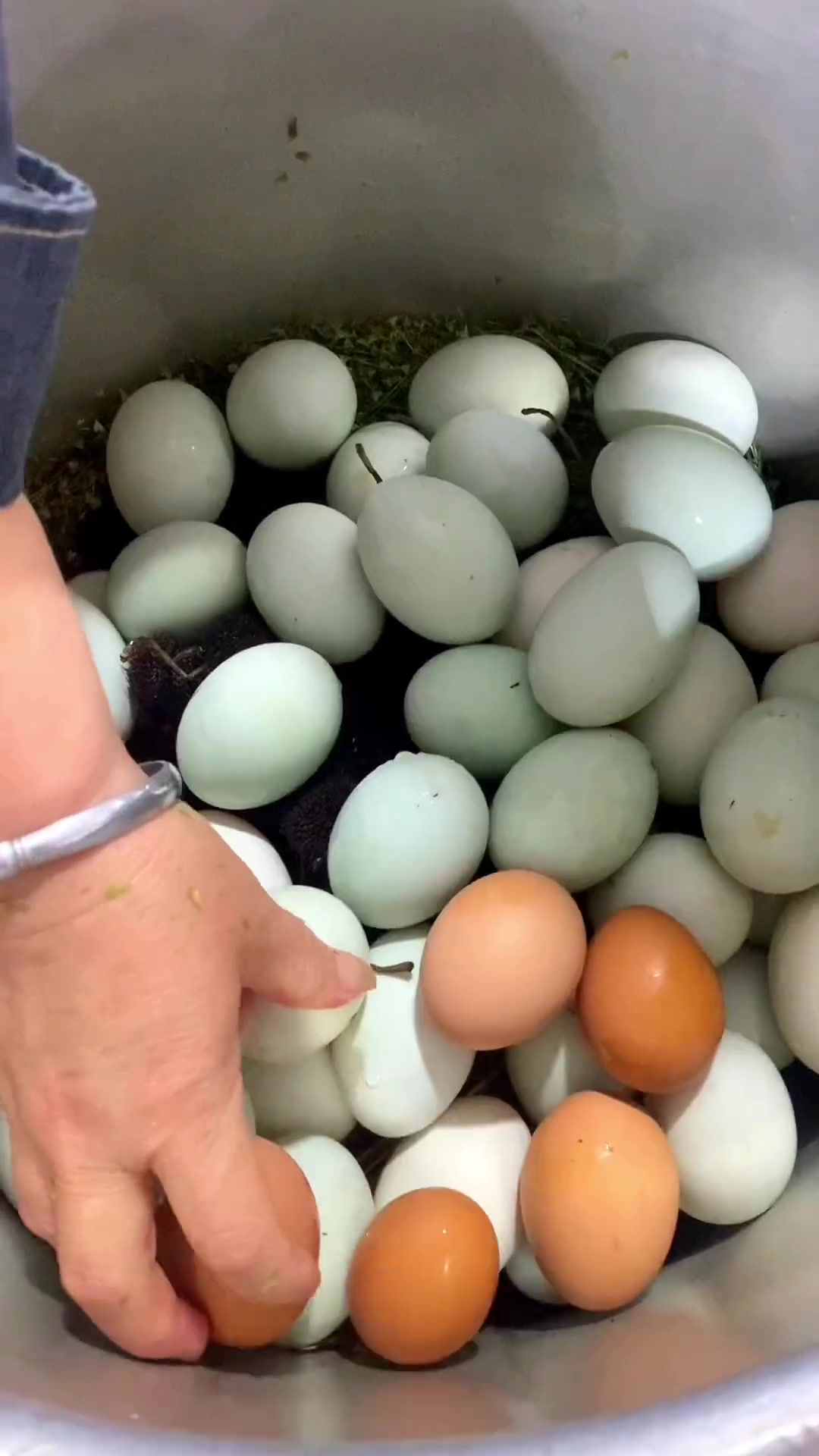 湖南人特有的节日美食,蒂菜煮鸡蛋,你吃过吗?