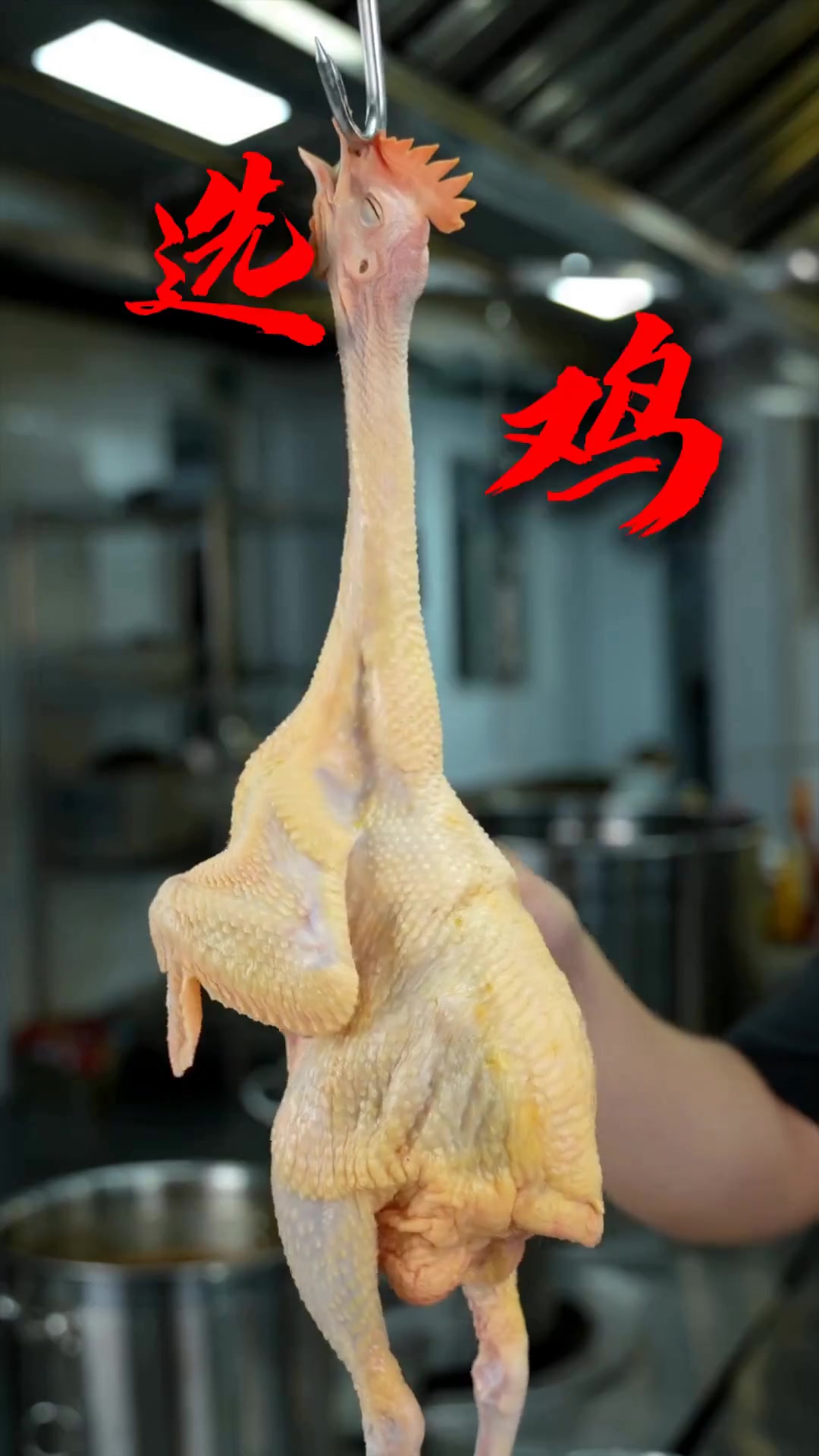 一把芝麻破解脆皮烧鸡久脆不软秘诀,做出新款芝麻鸡