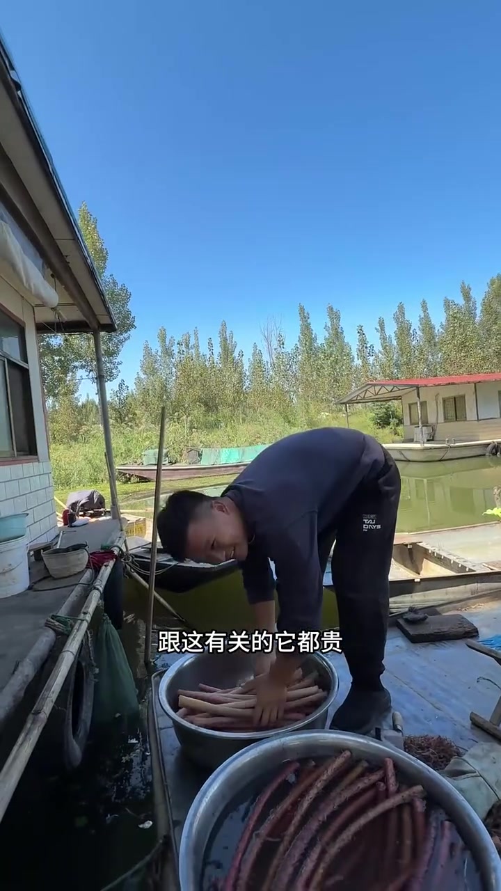 淡水里最大的蔬菜,可能有人吃过,但肯定没人见过它的全貌