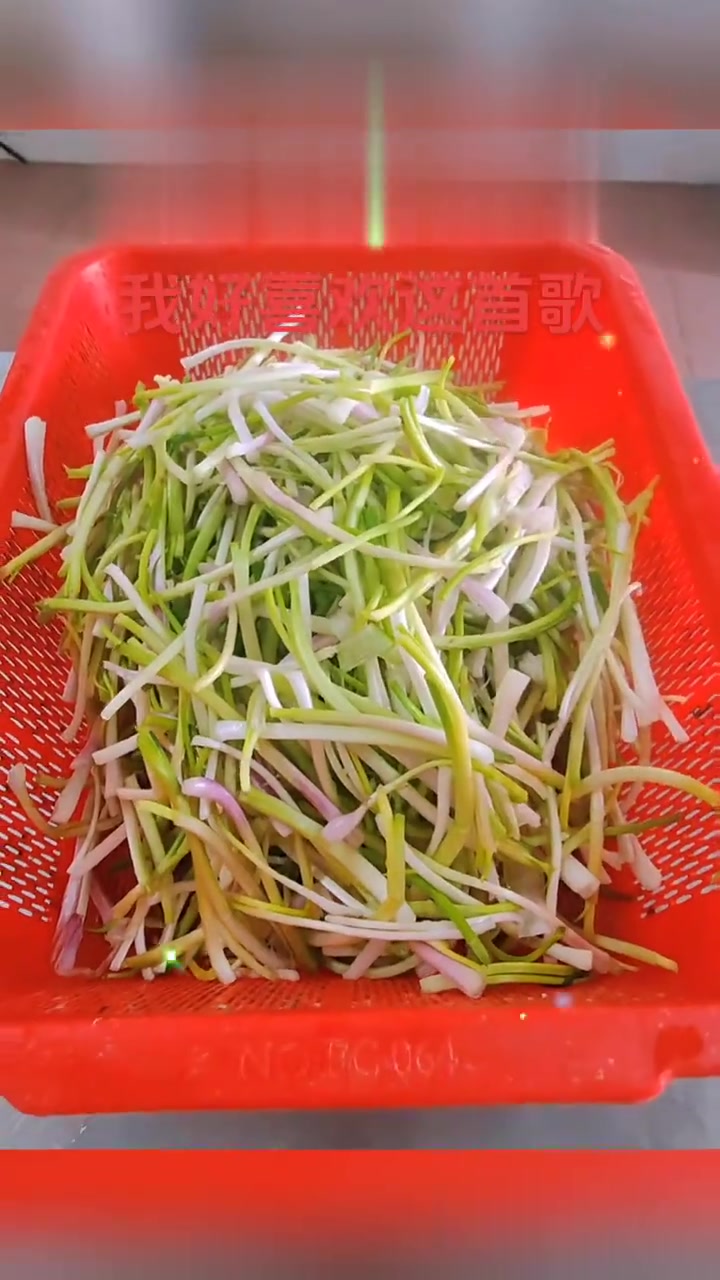 葱煎蛋饼、小竹笋炒肉、小南瓜、冬瓜汤
