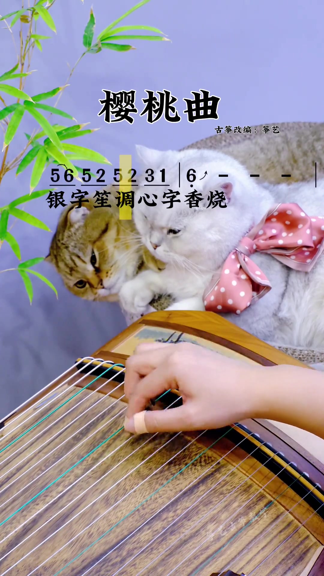 古筝谱《樱桃曲》虐我别用瑶琴刀!