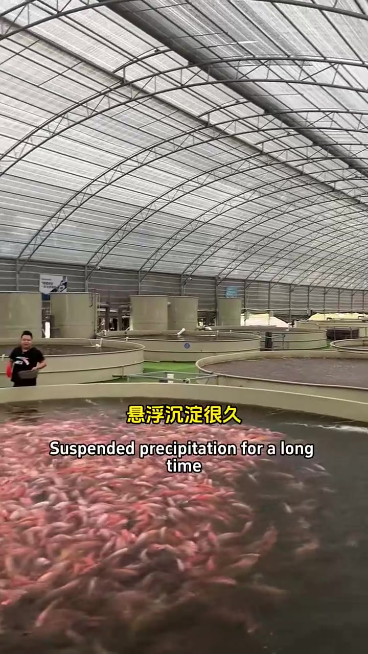 选择好的方式去养鱼是很重要的一部分，像我这样做个圆形鱼池加上锥底，能养翻倍的鱼